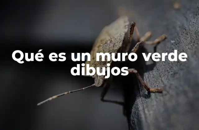 Qué es un Muro Verde Dibujos