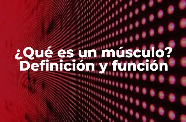 ¿qué es un Músculo? Definición y Función