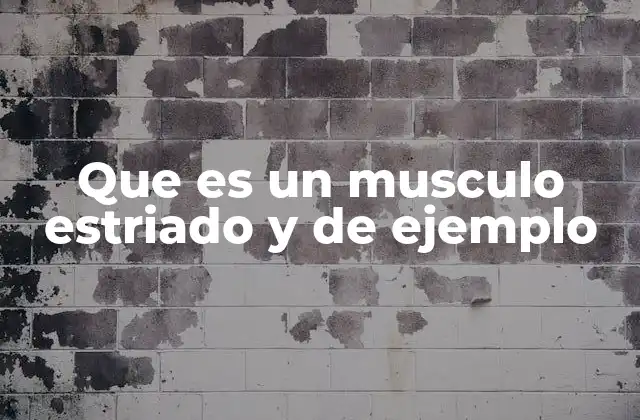 Que es un Musculo Estriado y de Ejemplo