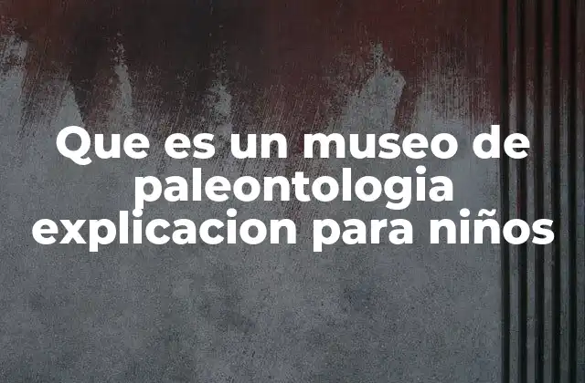 Que es un Museo de Paleontologia Explicacion para Niños