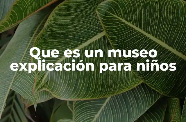 Que es un Museo Explicación para Niños