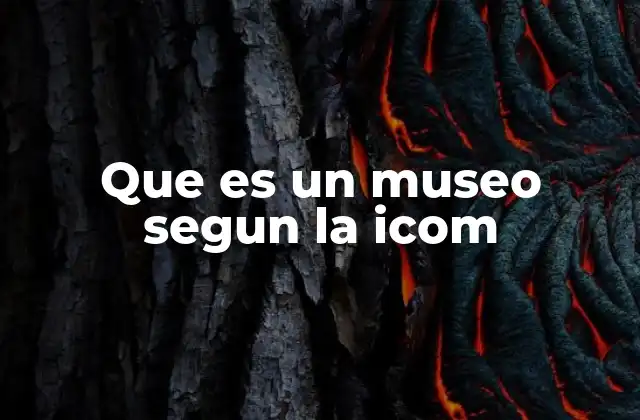 Que es un Museo Segun la Icom