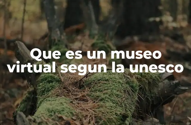Que es un Museo Virtual Segun la Unesco