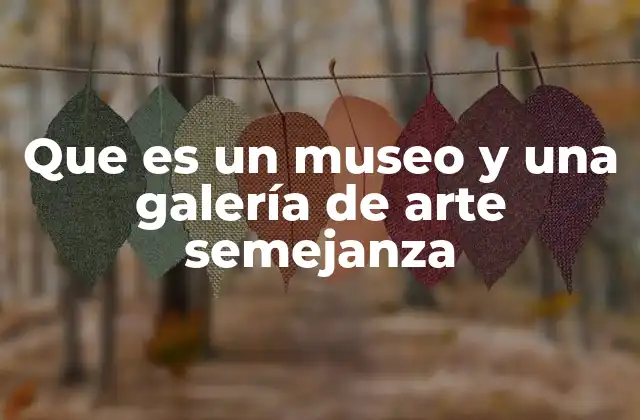Que es un Museo y una Galería de Arte Semejanza