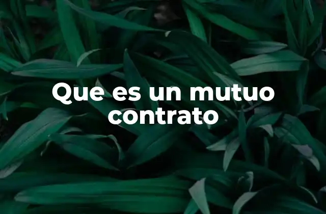 Que es un Mutuo Contrato