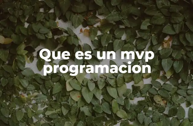 Que es un Mvp Programacion
