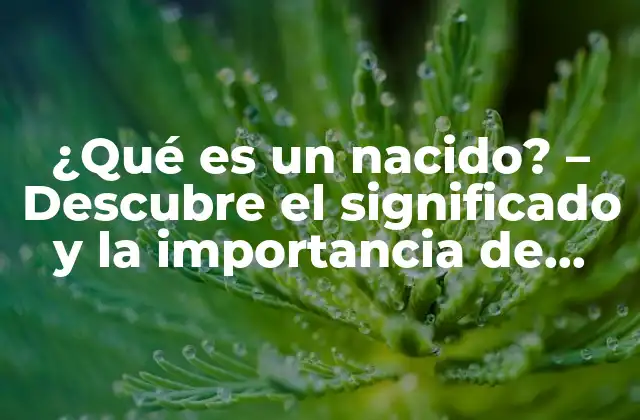 ¿qué es un Nacido? – Descubre el Significado y la Importancia de Esta Expresión
