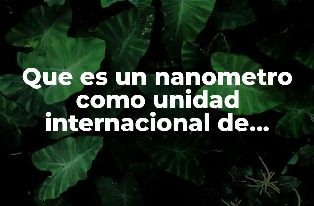Que es un Nanometro como Unidad Internacional de Medidas