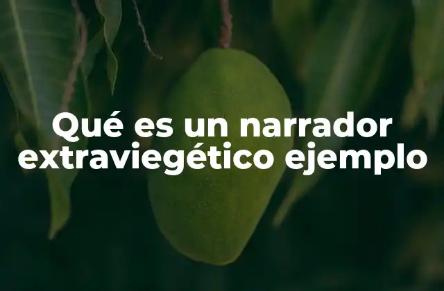 Qué es un Narrador Extraviegético Ejemplo