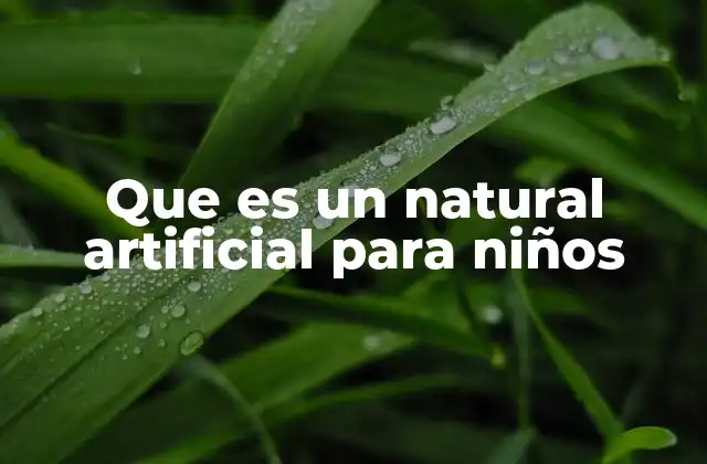 Que es un Natural Artificial para Niños