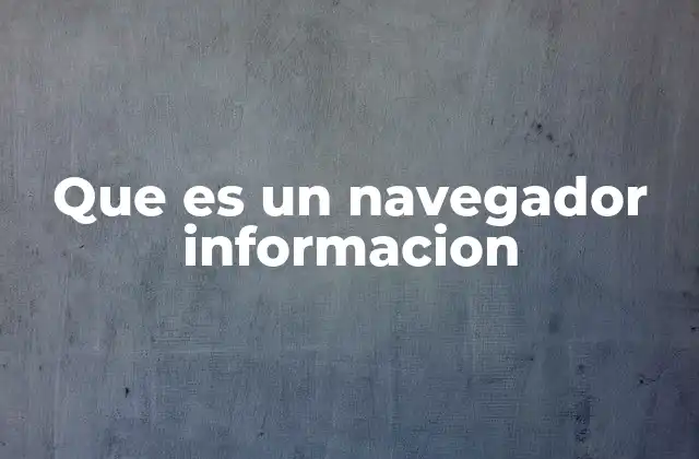 Que es un Navegador Informacion