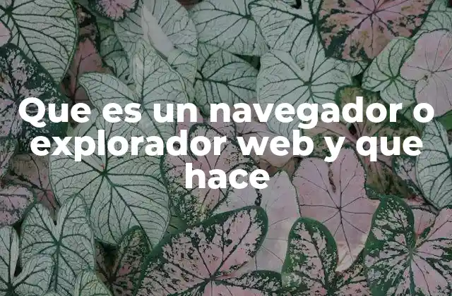 Que es un Navegador o Explorador Web y que Hace