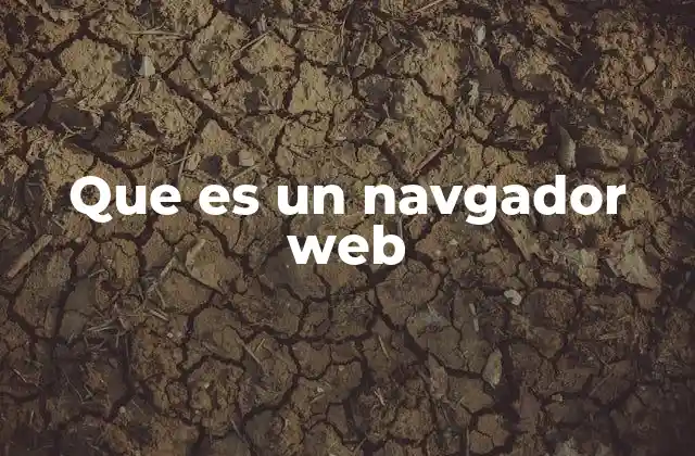 Que es un Navgador Web