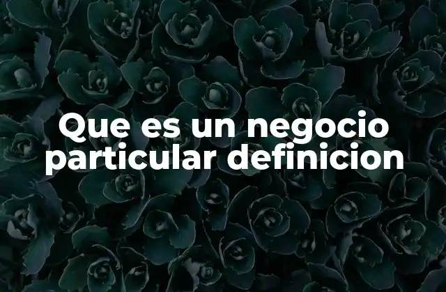 Que es un Negocio Particular Definicion 2 Características de los negocios particulares