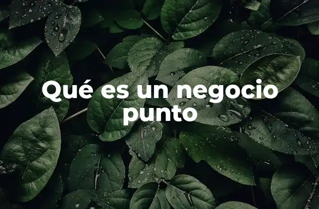 Qué es un Negocio Punto