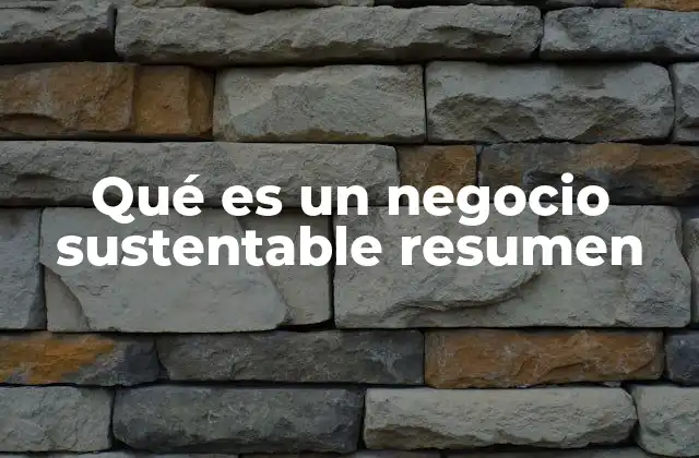 Qué es un Negocio Sustentable Resumen