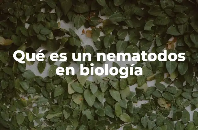 Qué es un Nematodos en Biología