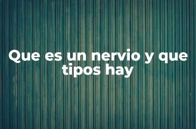 Que es un Nervio y que Tipos Hay
