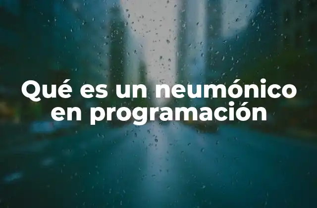 Qué es un Neumónico en Programación