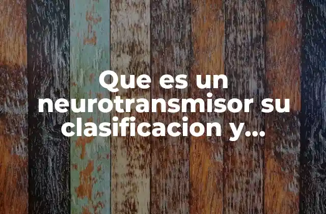 Que es un Neurotransmisor Su Clasificacion y Funciones