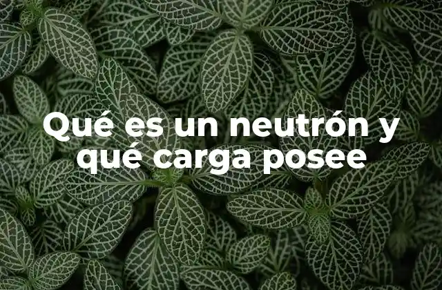 Qué es un Neutrón y Qué Carga Posee