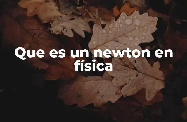 Que es un Newton en Física