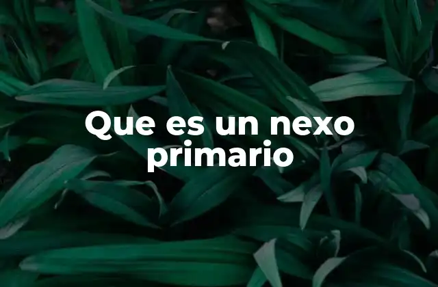 Que es un Nexo Primario