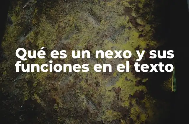 Qué es un Nexo y Sus Funciones en el Texto