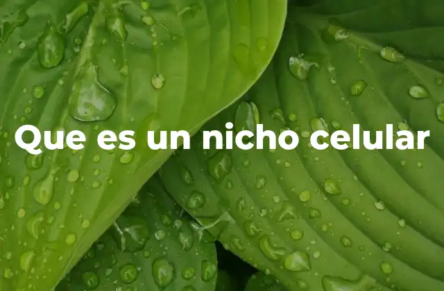 Que es un Nicho Celular