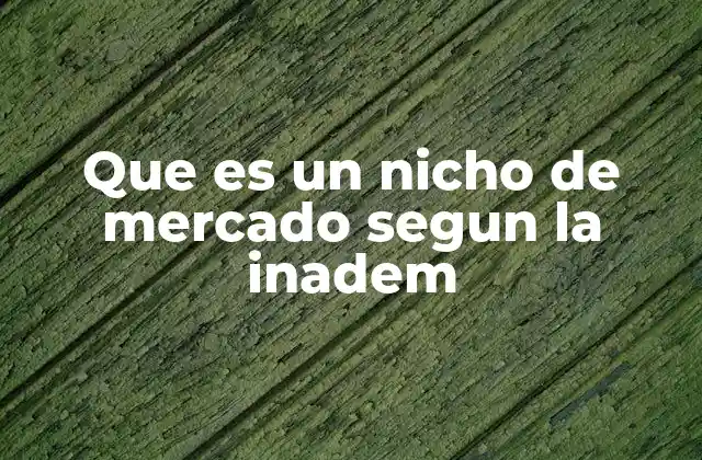 Que es un Nicho de Mercado Segun la Inadem