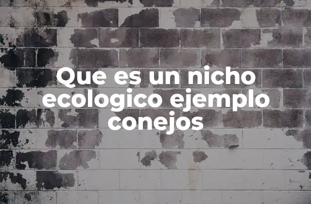 Que es un Nicho Ecologico Ejemplo Conejos