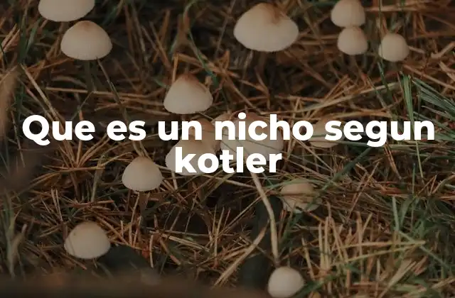 Que es un Nicho Segun Kotler