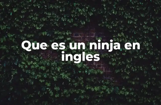 Que es un Ninja en Ingles