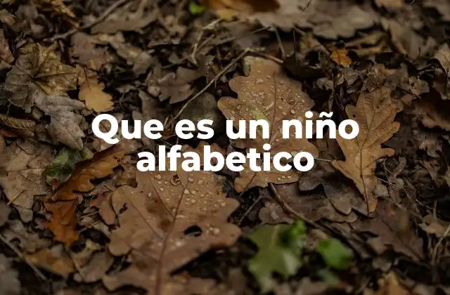 Que es un Niño Alfabetico