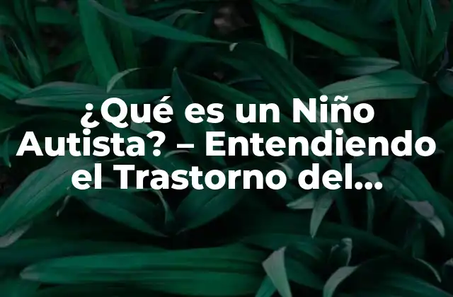 ¿qué es un Niño Autista? – Entendiendo el Trastorno Del Espectro Autista