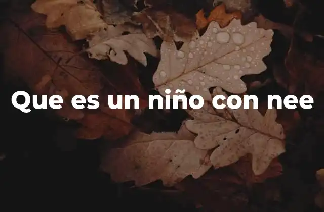Que es un Niño con Nee