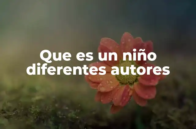 Que es un Niño Diferentes Autores