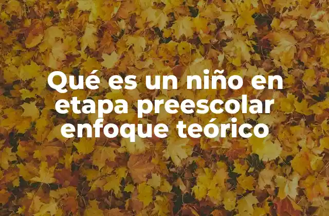 Qué es un Niño en Etapa Preescolar Enfoque Teórico