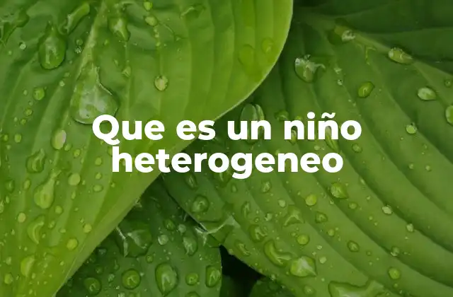 Que es un Niño Heterogeneo