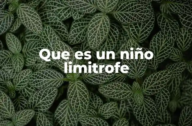 Que es un Niño Limitrofe