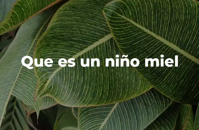 Que es un Niño Miel
