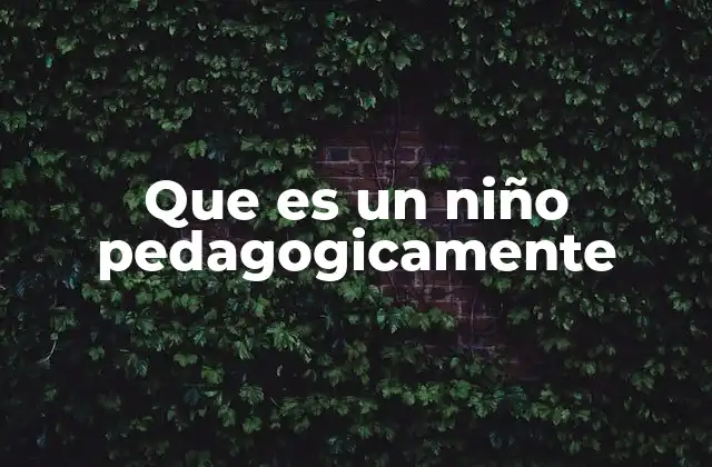 Que es un Niño Pedagogicamente