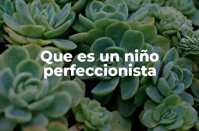Que es un Niño Perfeccionista