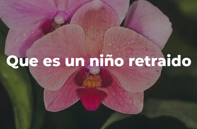 Que es un Niño Retraido