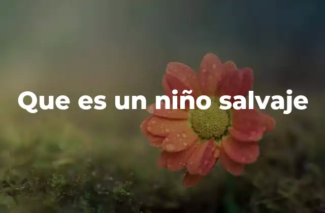 Que es un Niño Salvaje
