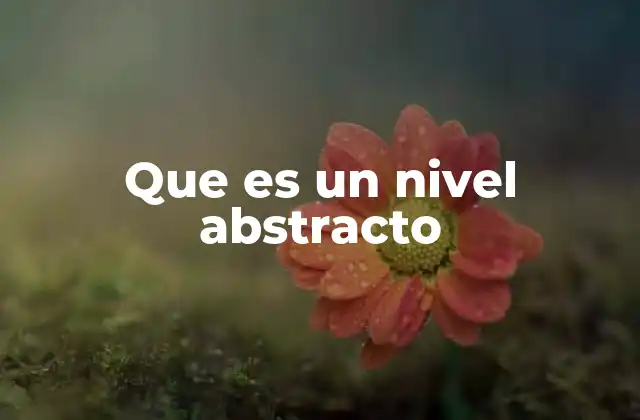 Que es un Nivel Abstracto