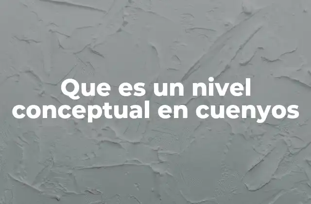 Que es un Nivel Conceptual en Cuenyos