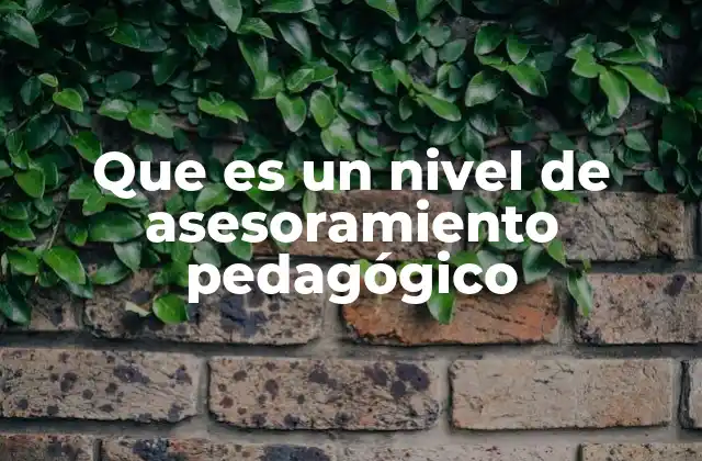 Que es un Nivel de Asesoramiento Pedagógico 2 El rol del asesor pedagógico en la mejora de la educación