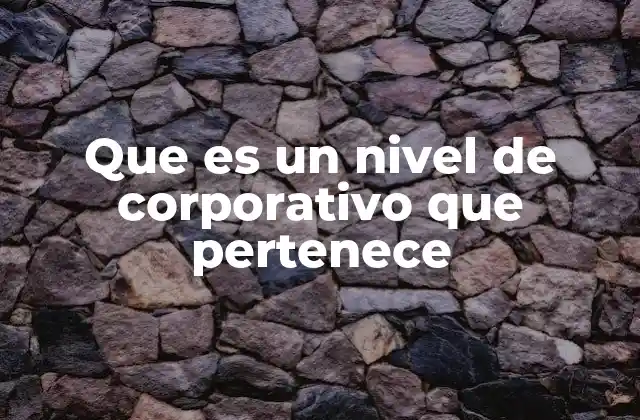 La importancia de comprender los niveles corporativos en una empresa