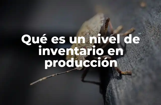 Qué es un Nivel de Inventario en Producción